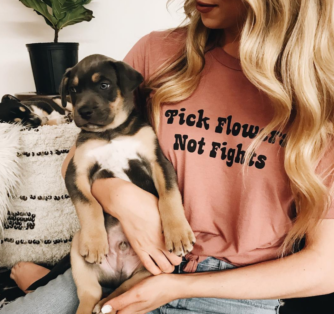 Things to do in Reno: Foster Puppies with the SPCA