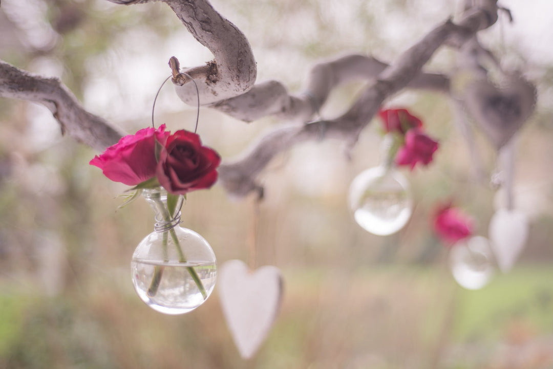 Throw a Galentine’s Day Party | Sierra Belle Boutique Tips