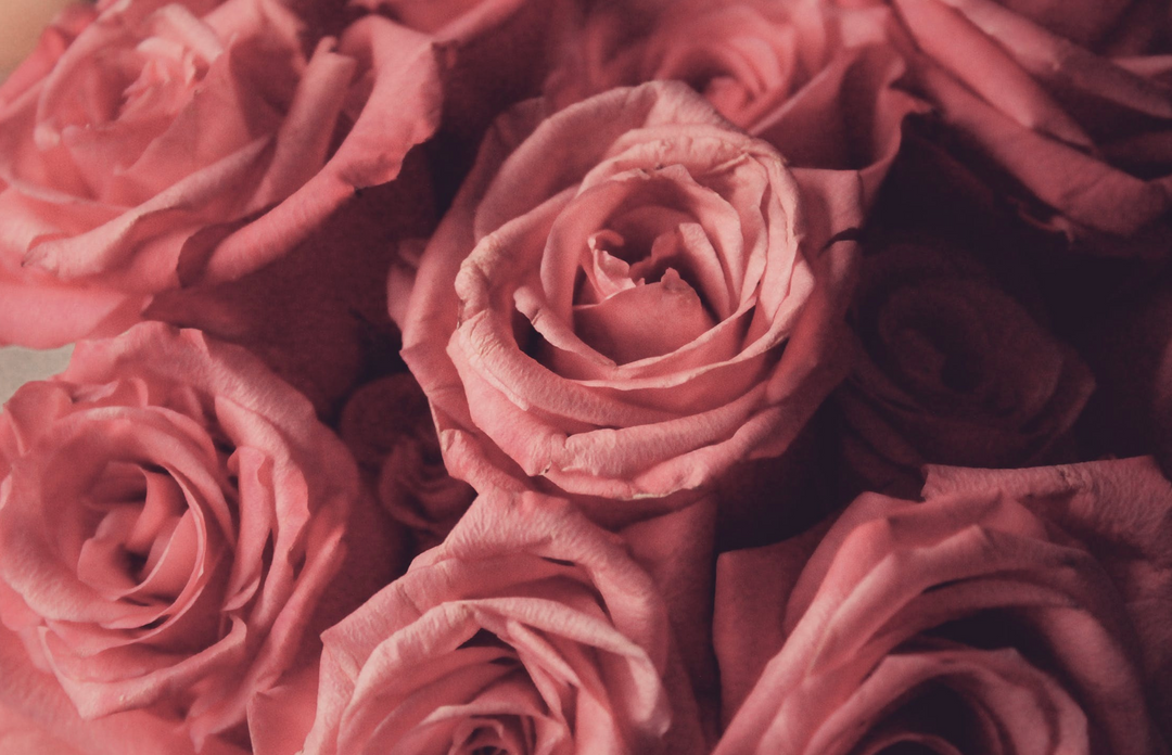 Things to Do In Reno | Shop Valentine's Day Boutique