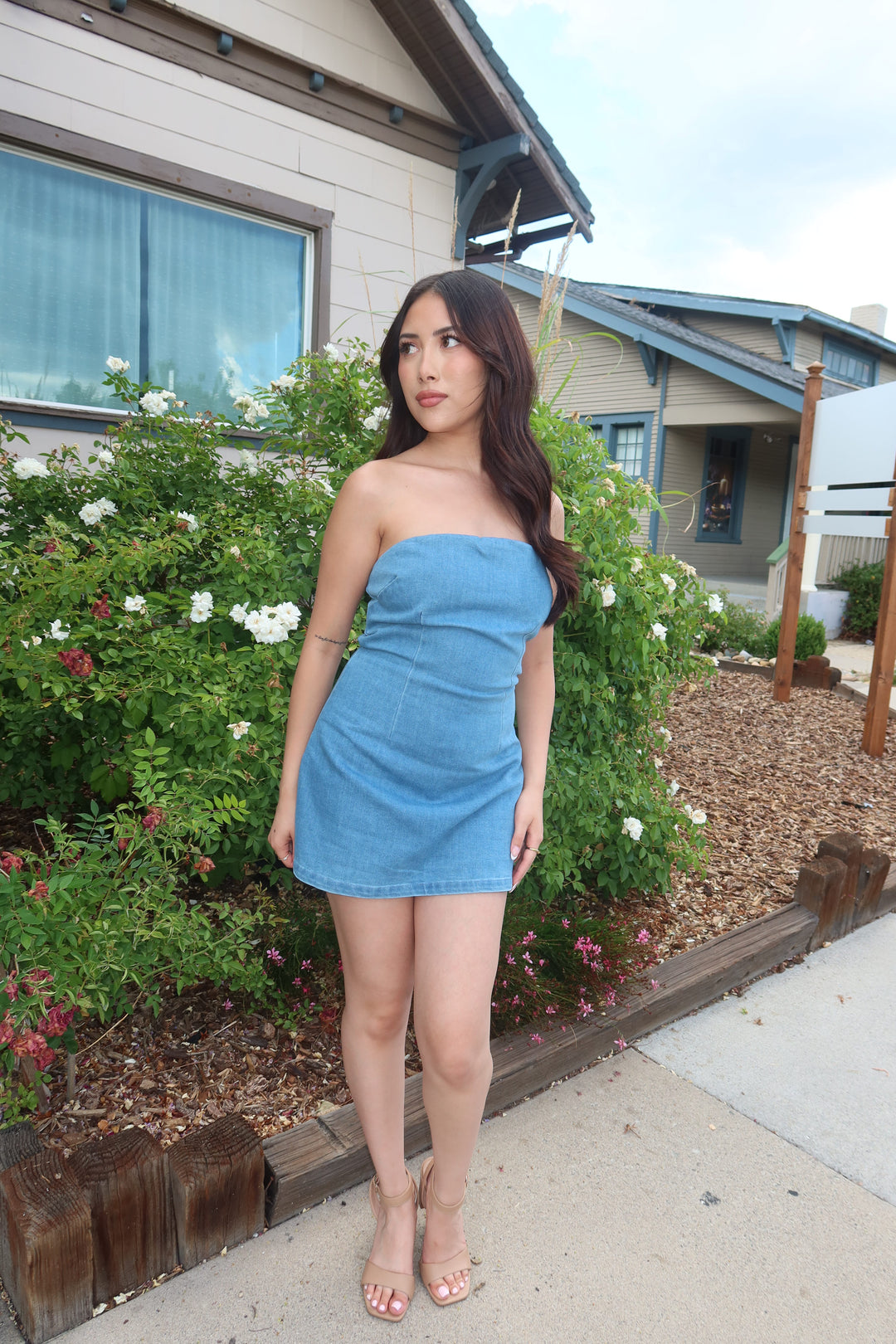 The Denim Bow-Back Tube Mini Dress