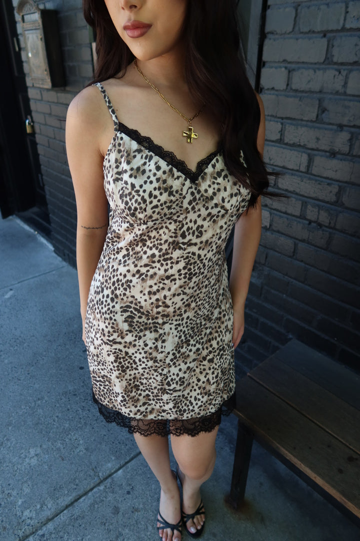 Luna Leopard Print Lace Trim Mini Dress