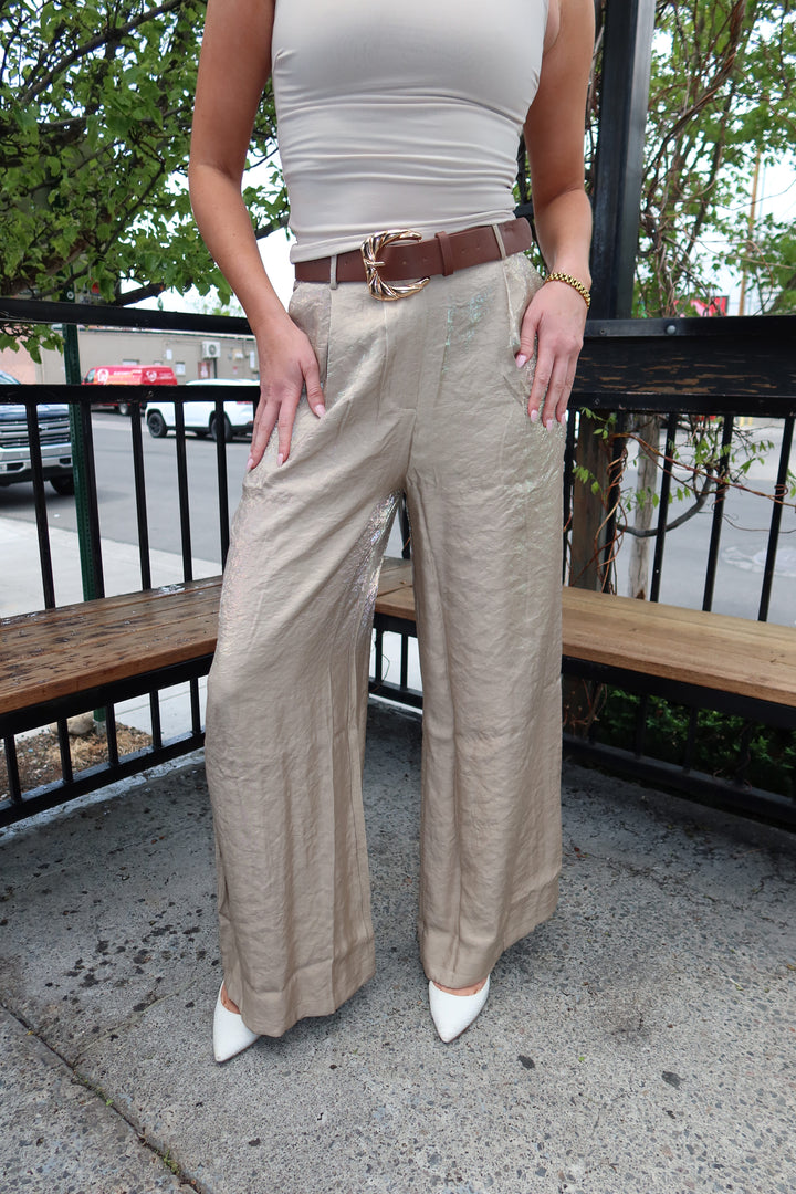 Taupe Satin Pleated Wide-Leg Pants with Belt